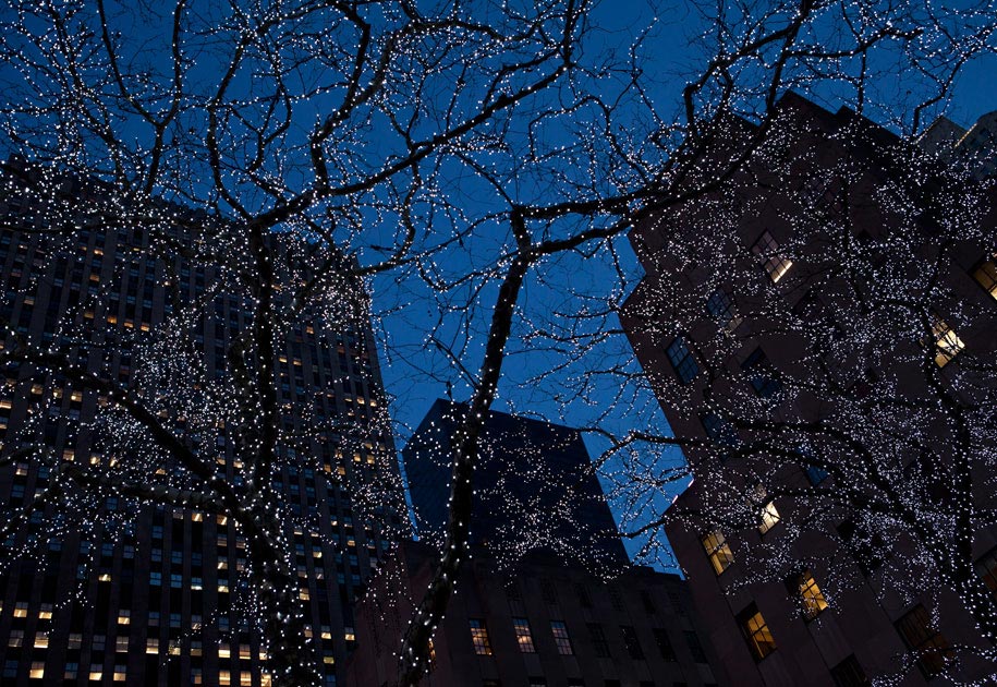 01_newyork.trees.lights.celebration.buildings.evening.color.jpg
